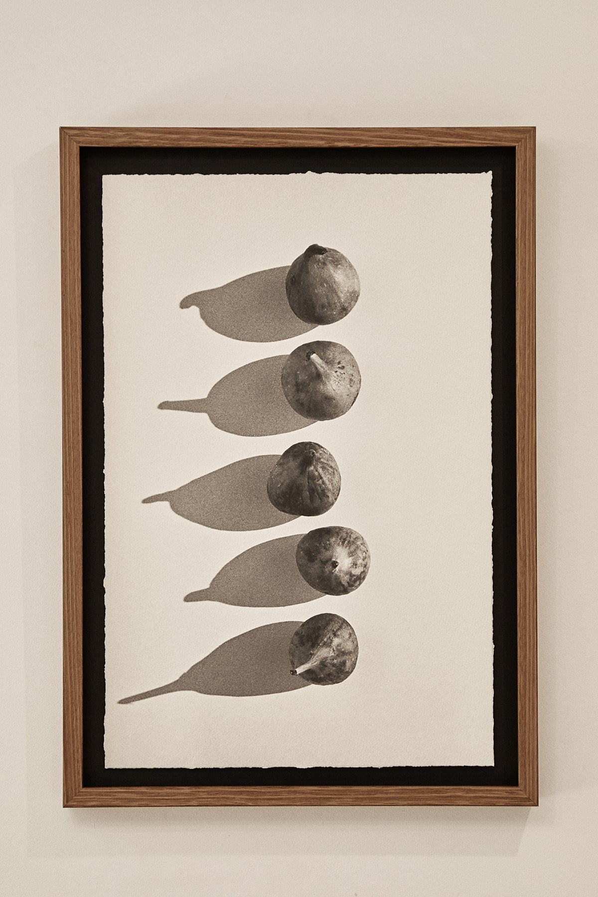 Photographic Art Print— Fig WAS $220 NOW $130