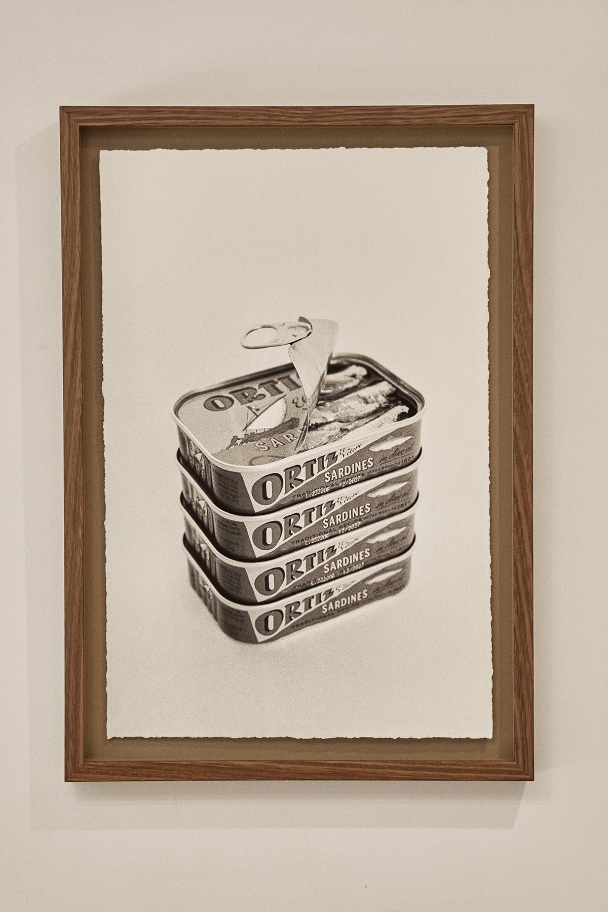 Framed Still Life Photography — Sardines