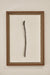 Framed Still Life Photography — Asparagus