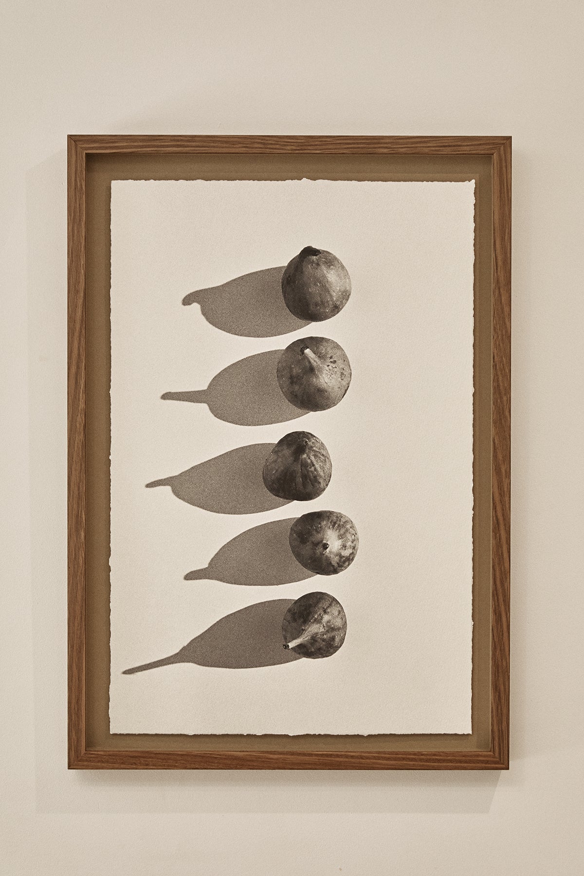 Framed Still Life Photography — Fig