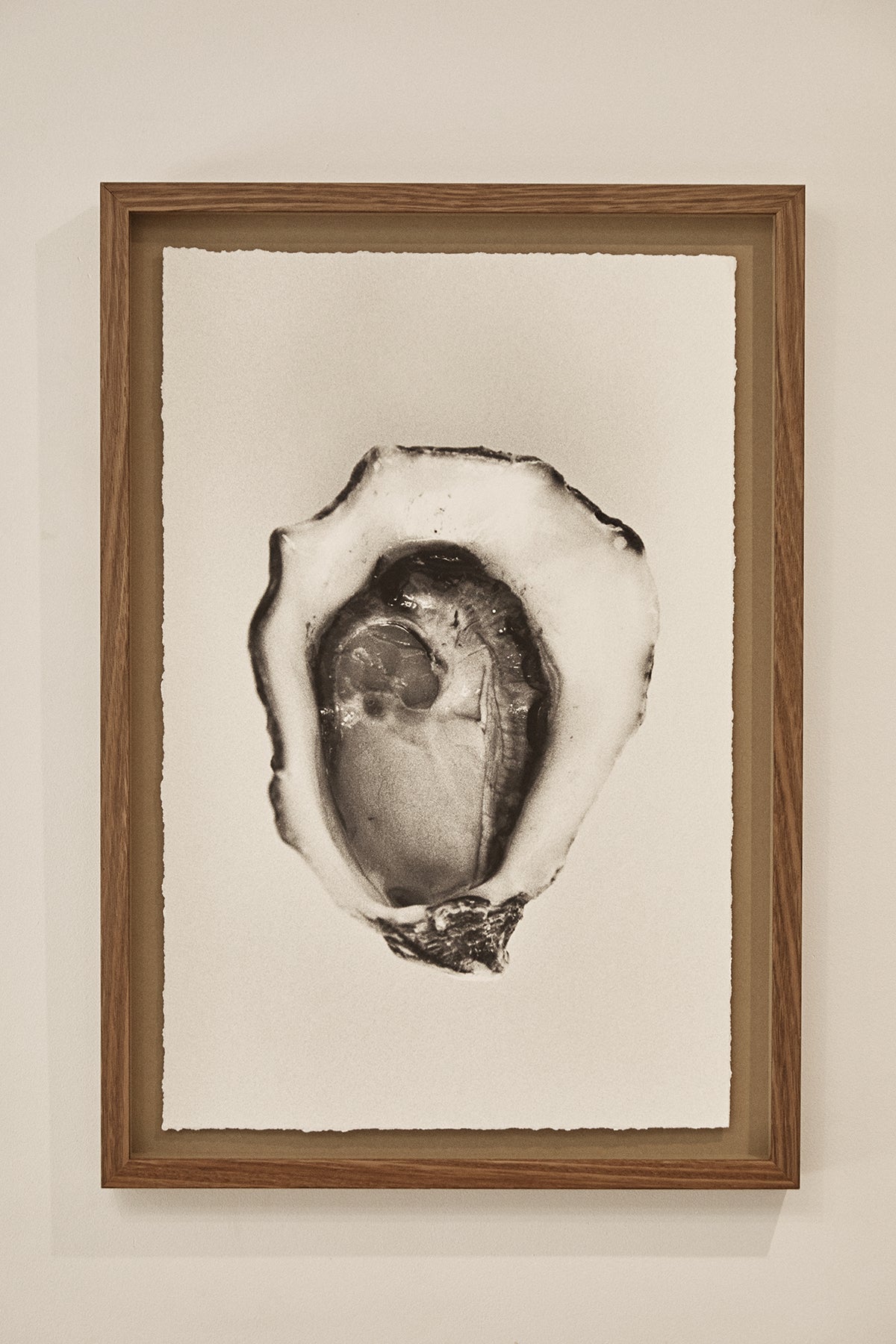 Framed Still Life Photography — Oyster