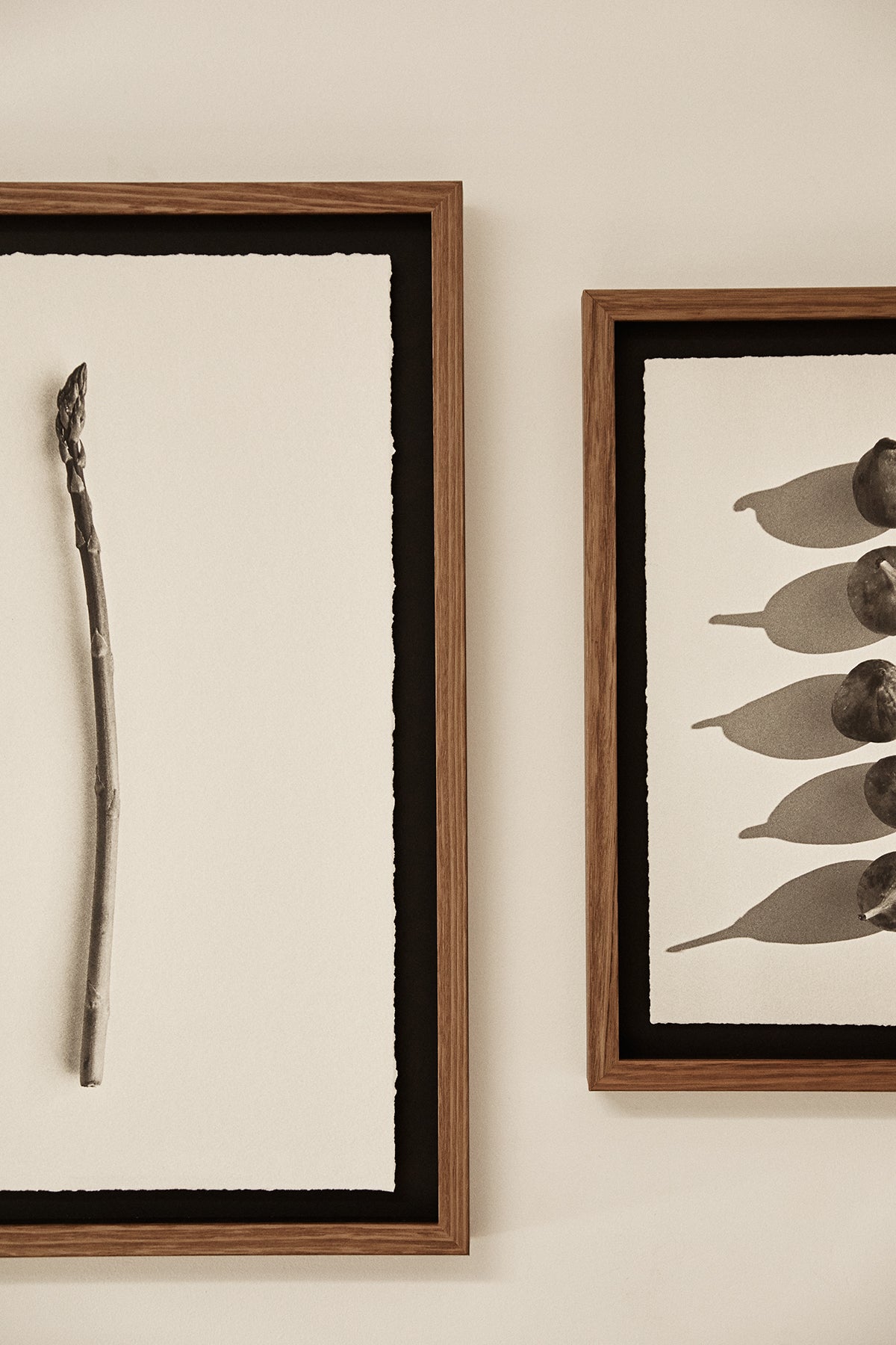 Photographic Fine Art Print — Asparagus WAS $220 NOW $130