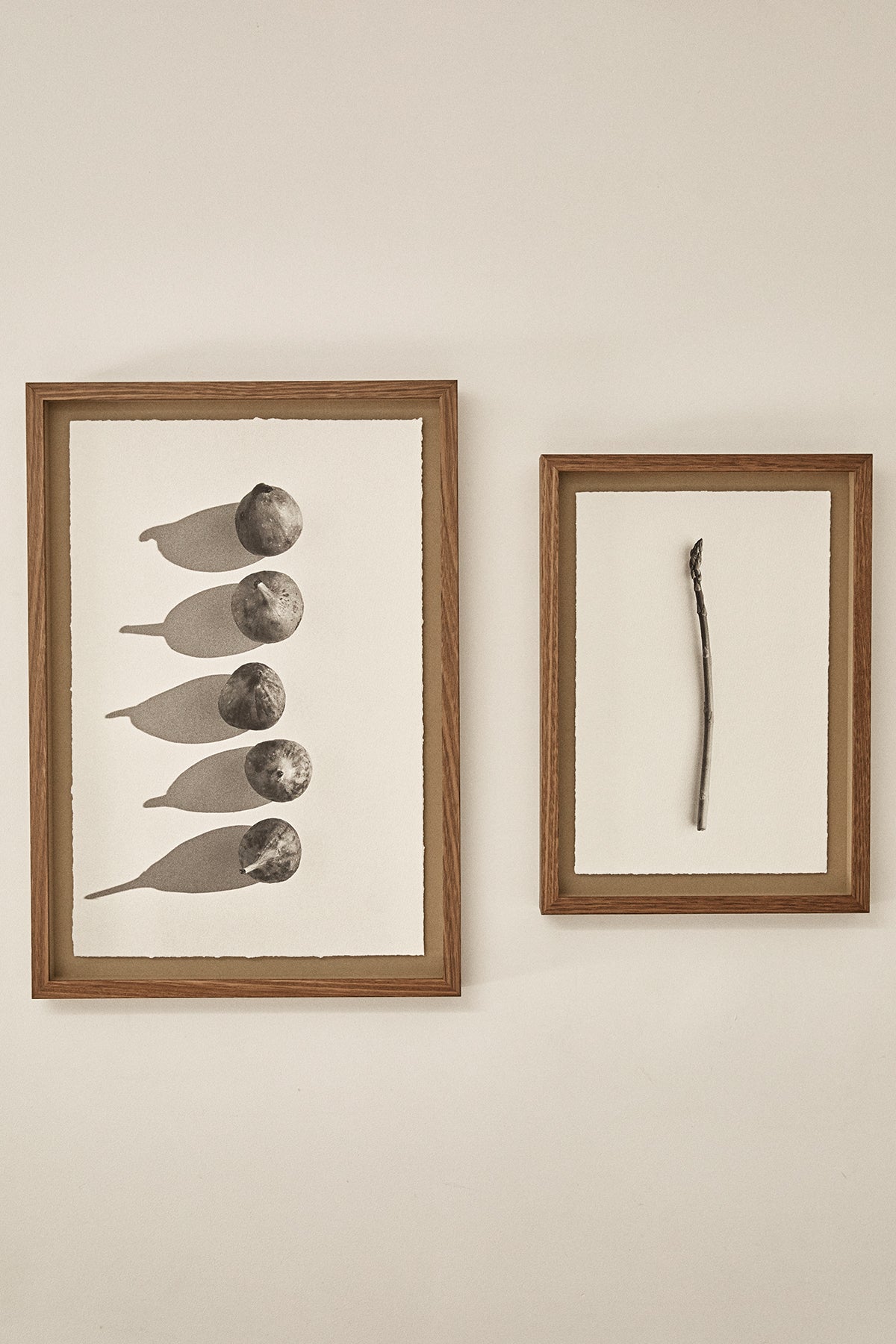 Photographic Fine Art Print — Asparagus WAS $220 NOW $130